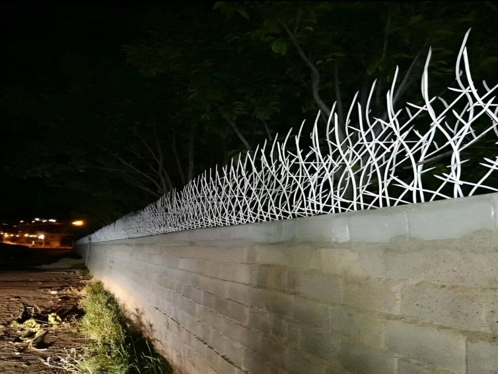 حفاظ شاخ گوزنی خرم آباد حفاظ شاخ گوزنی خرم آباد