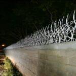 حفاظ شاخ گوزنی خرم آباد