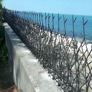 حفاظ شاخ گوزنی تراکم 40 در خرم آباد