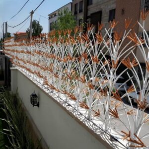 حفاظ لیلیوم در خرم آباد