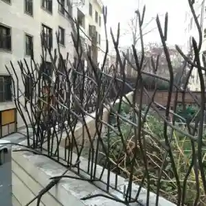 انواع مدل های حفاظ شاخ گوزنی در خرم آباد