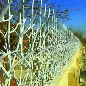 هزینه تولید و نصب شاخ گوزنی در خرم آباد