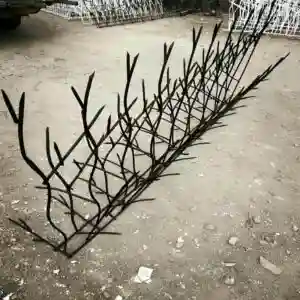 کاربرد حفاظ شاخ گوزنی در خرم آباد