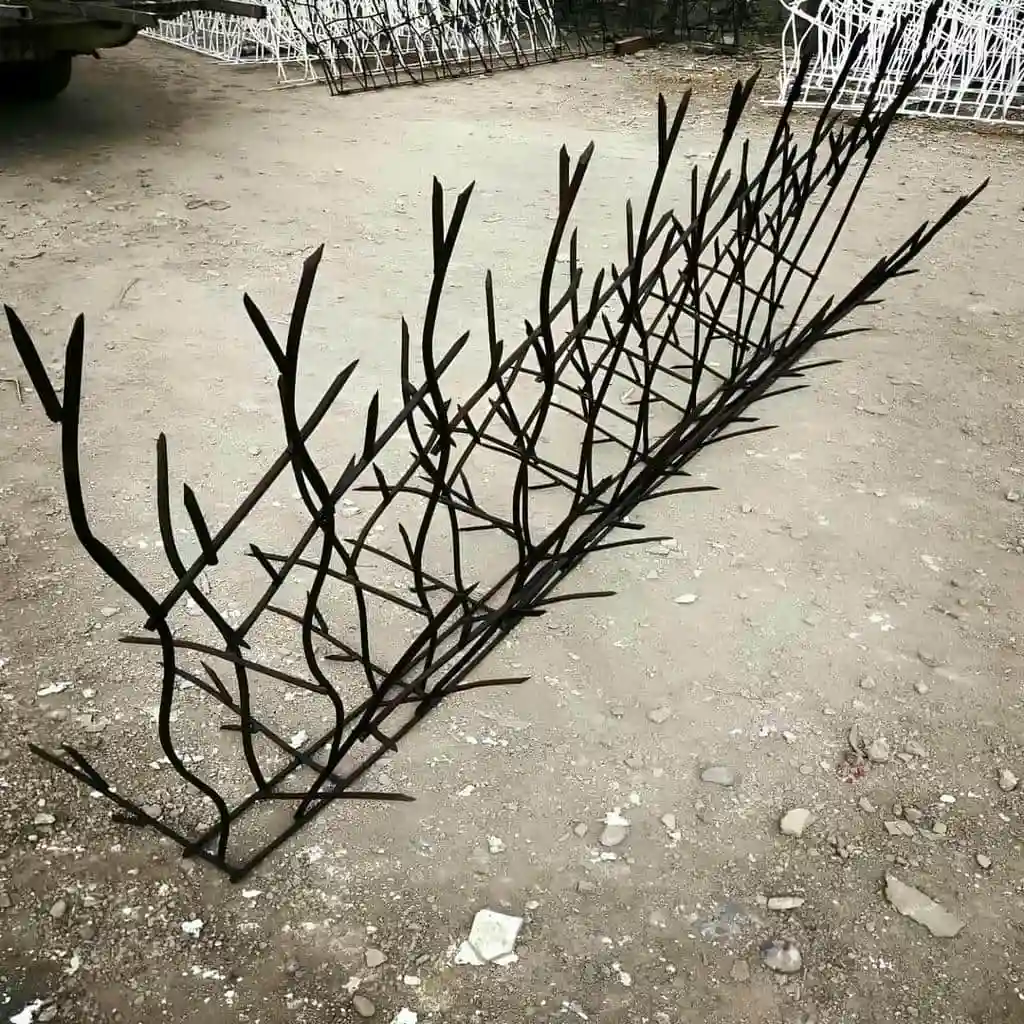 کاربرد حفاظ شاخ گوزنی در خرم آباد