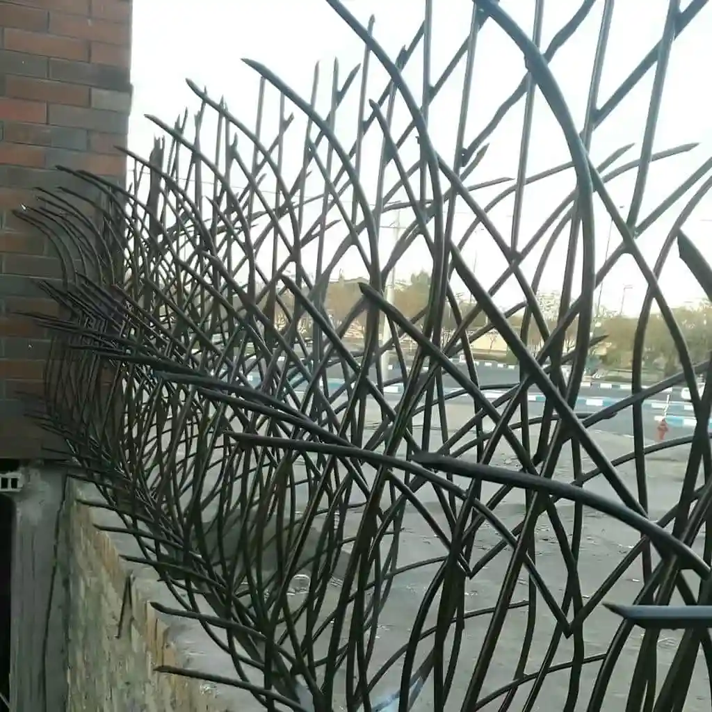 قیمت حفاظ شاخ گوزنی