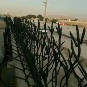 راهنمای خرید مدل شیک حفاظ شاخ گوزنی در خرم آباد