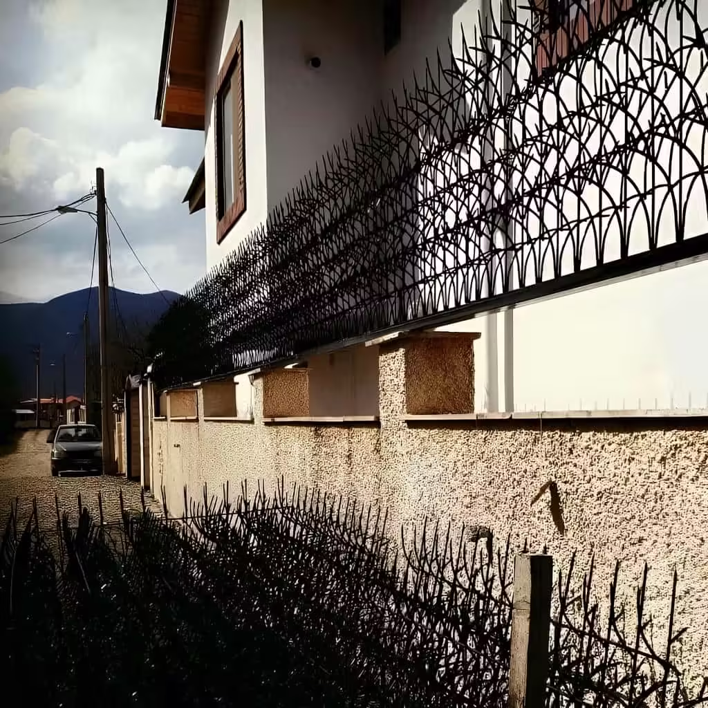 خرید حفاظ شاخ گوزنی