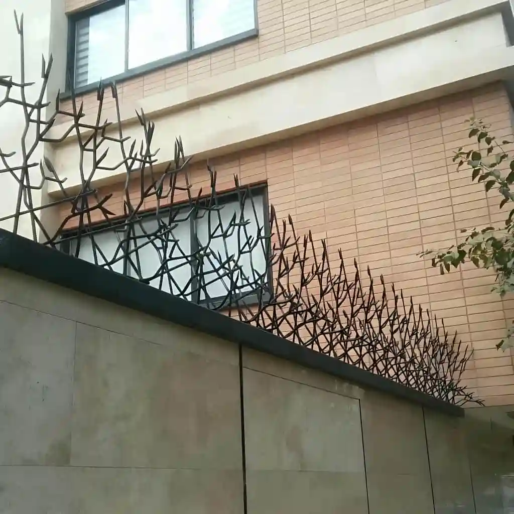 فروش حفاظ اف