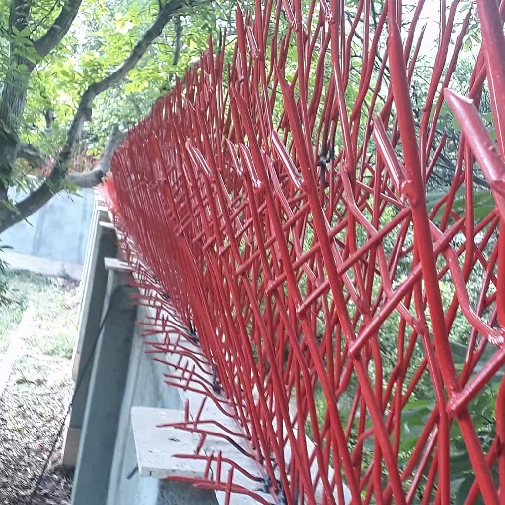 فروش حفاظ بوته ای