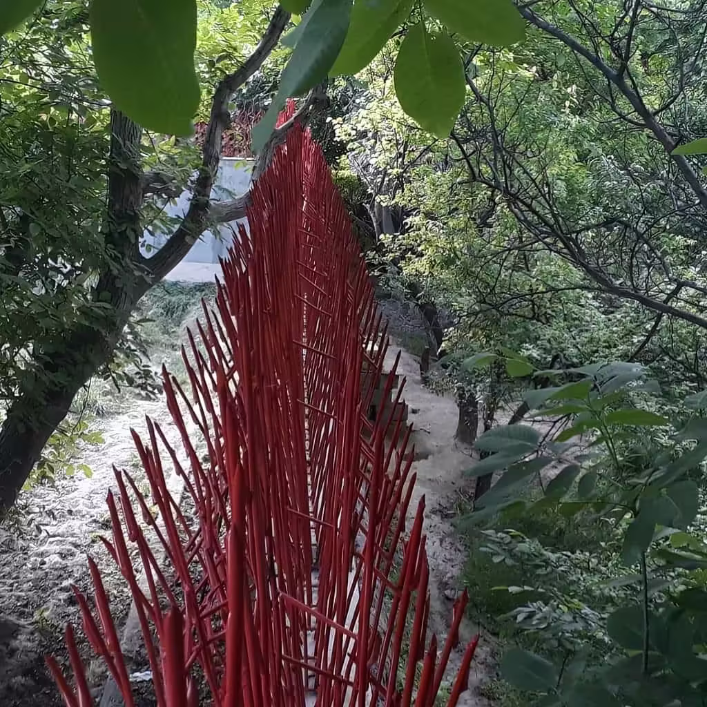 حفاظ بوته ای تراکم 88 در خرم آباد