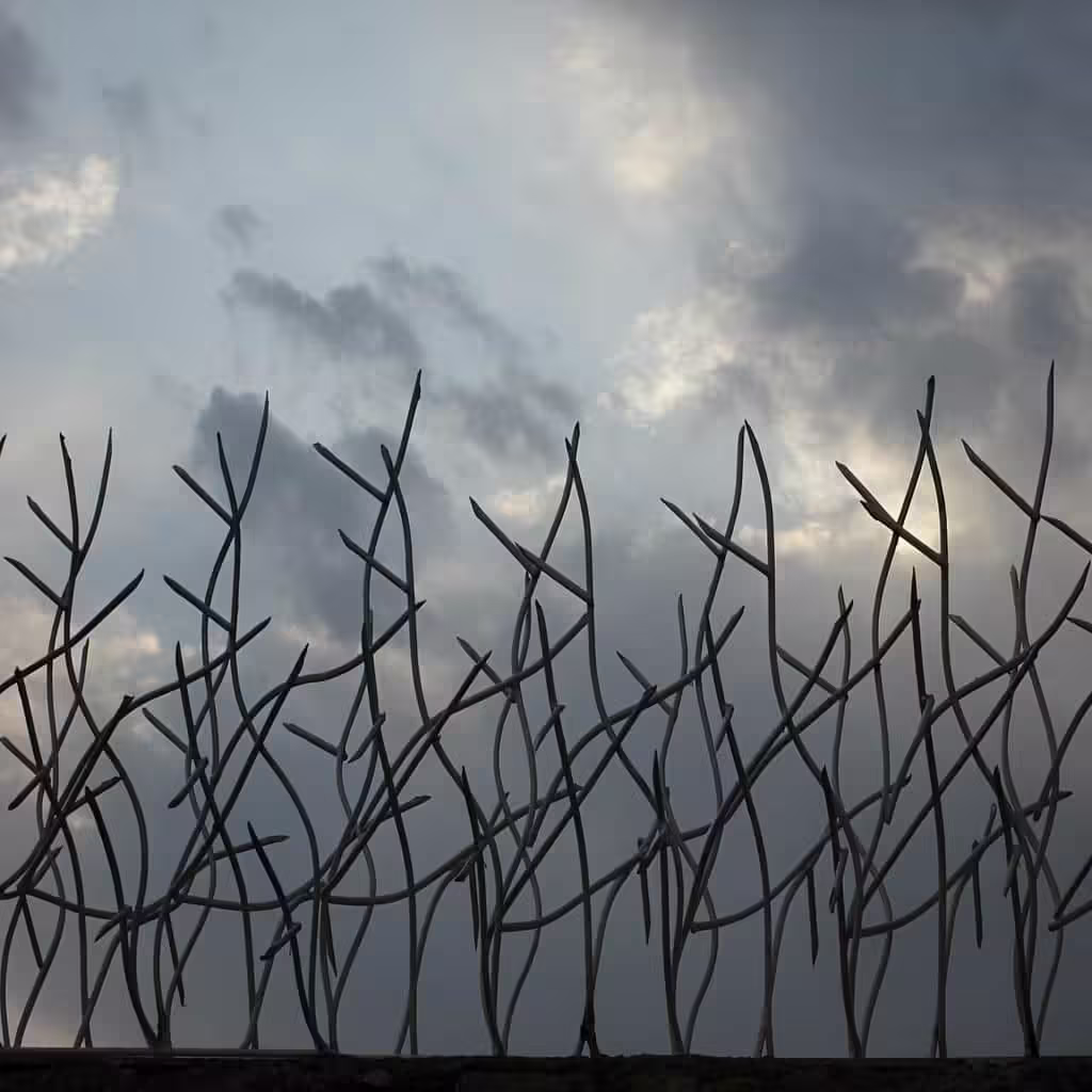 حفاظ شاخ گوزنی تراکم 22 اقتصادی در خرم آباد