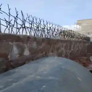 حفاظ شاخ گوزنی تراکم 34 در خرم آباد