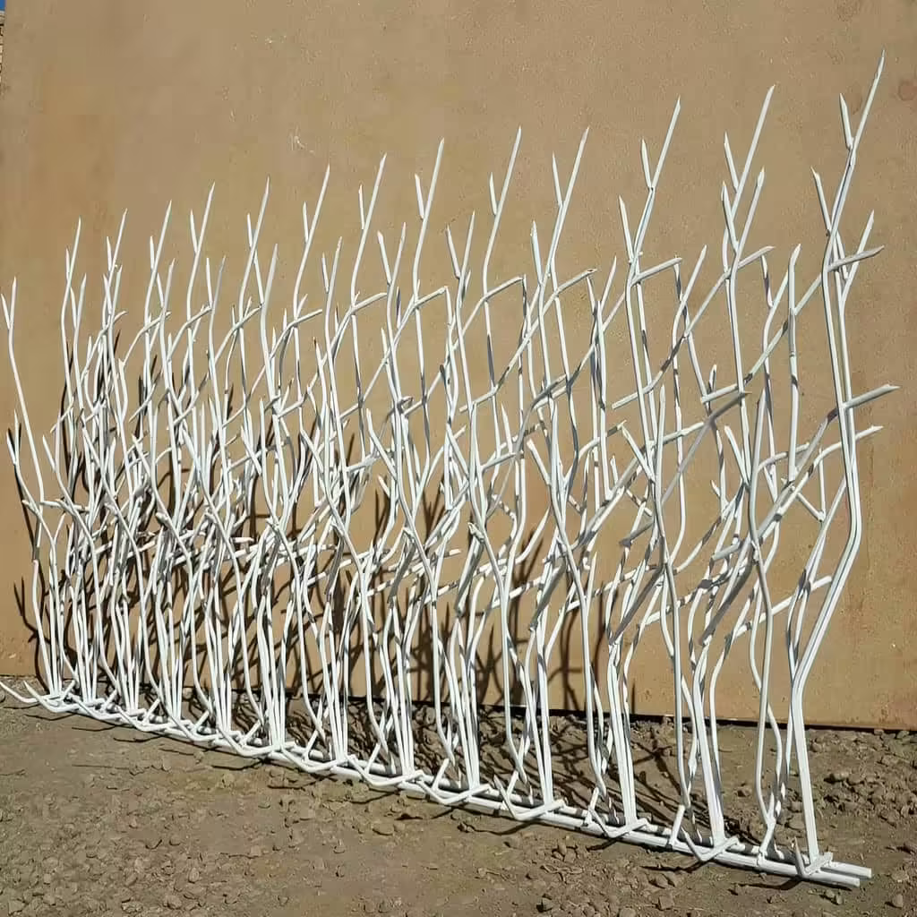 حفاظ دیوار حیاط در خرم آباد