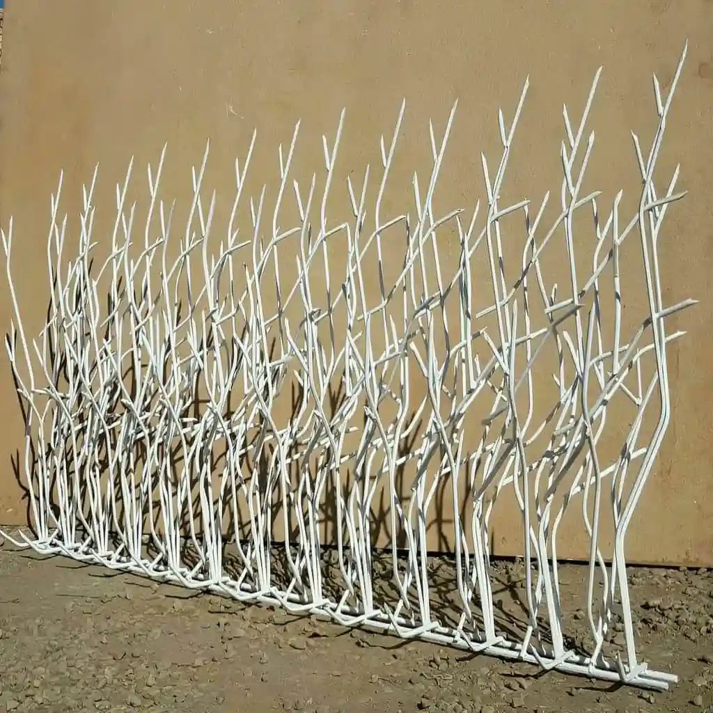 حفاظ دیوار حیاط در خرم آباد