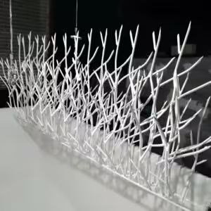 حفاظ شاخ گوزنی پایه بلند در خرم آباد