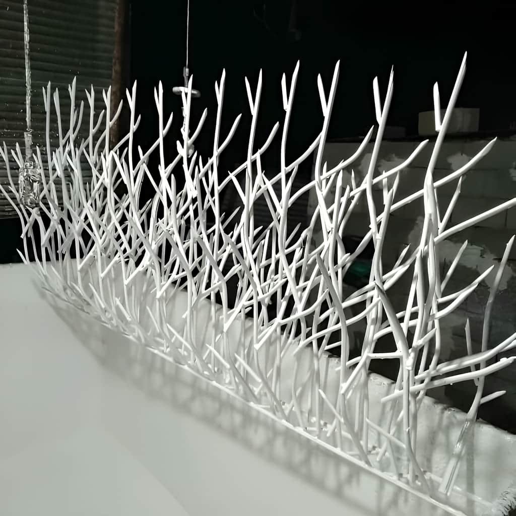 حفاظ شاخ گوزنی پایه بلند در خرم آباد