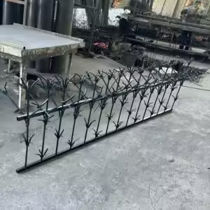 حفاظ شمشادی در خرم آباد