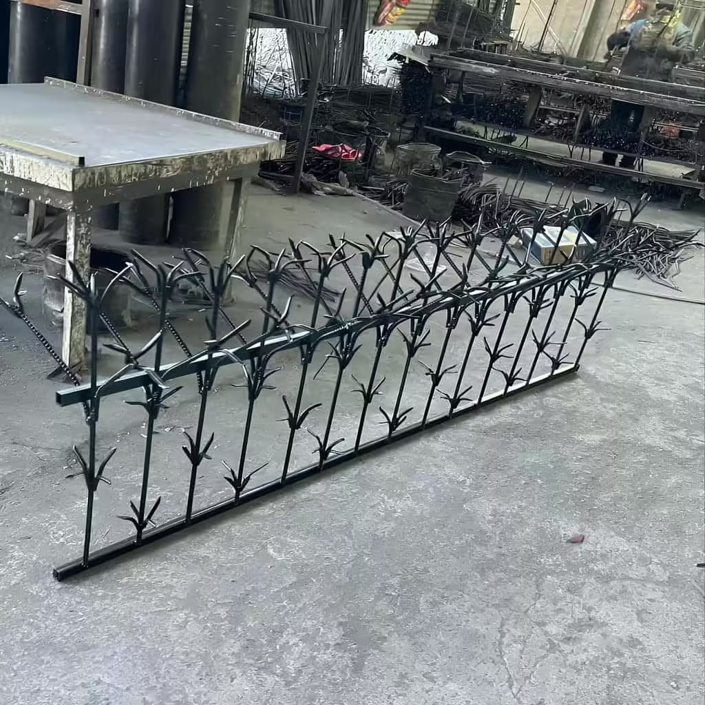 حفاظ شمشادی در خرم آباد