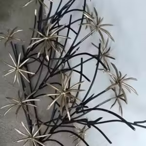 حفاظ نخل مرداب در خرم آباد