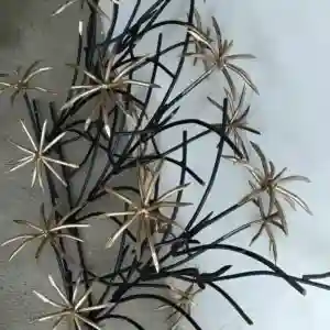 حفاظ نخل مرداب در خرم آباد