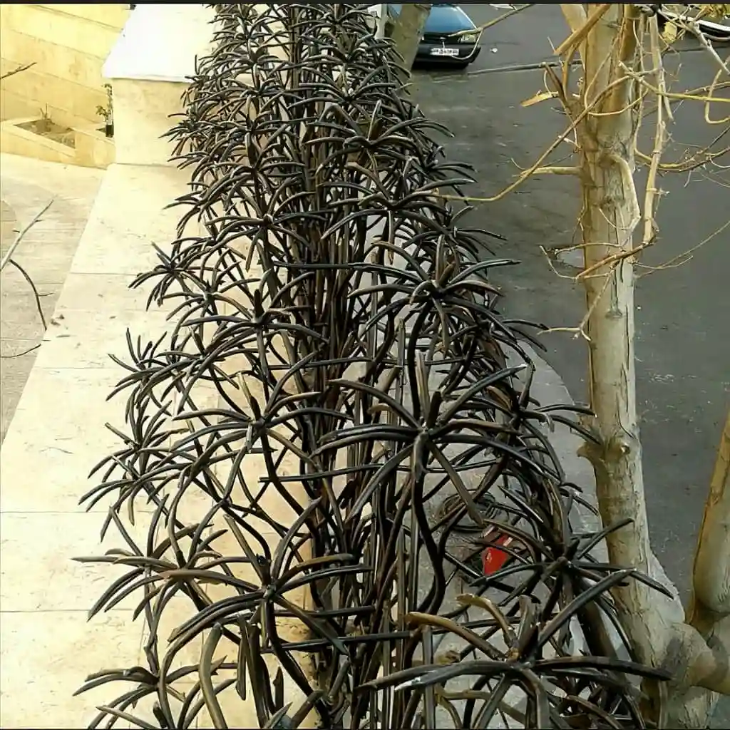 حفاظ امنیتی ساختمان