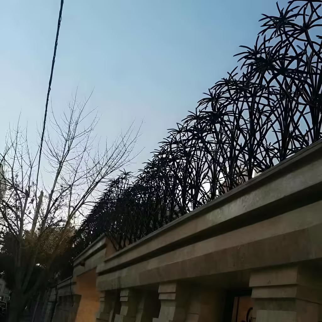 خرید حفاظ دیوار